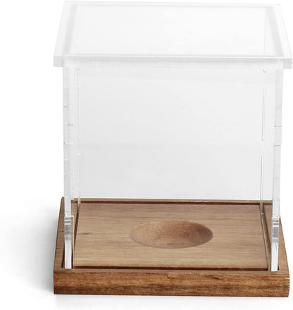 Display Case for Baseballs Clear Acrylic Display Stand Holder UV Protection Dust-Proof Memorabilia Display Case (2 Baseball Cases)